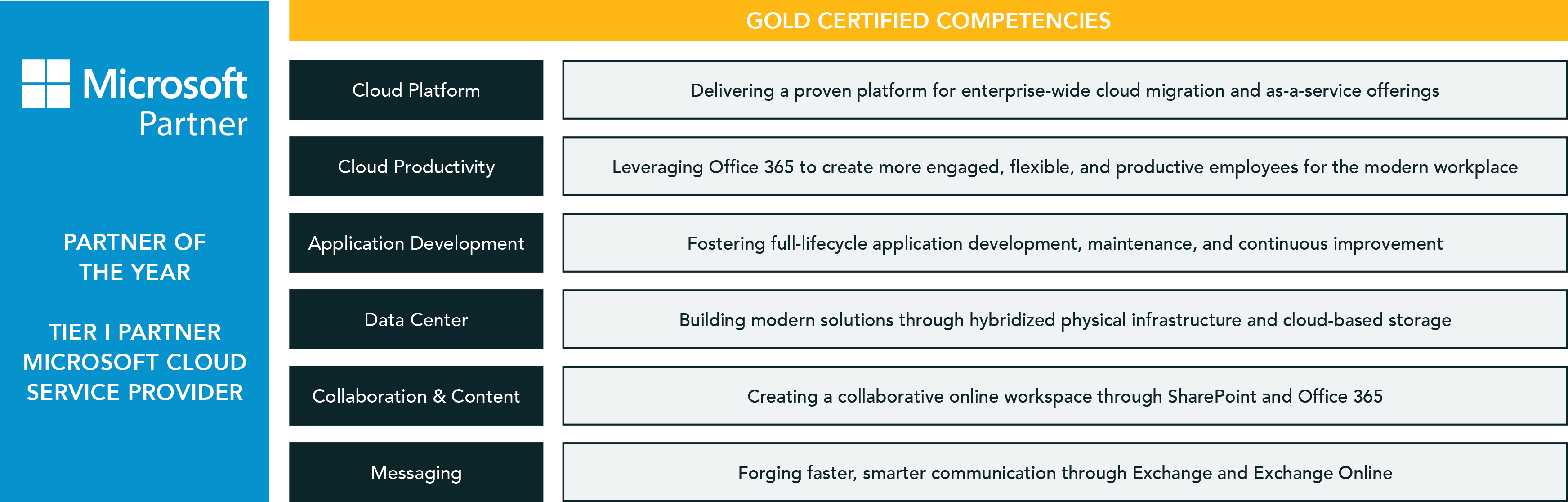 Microsoft Partner Competencies