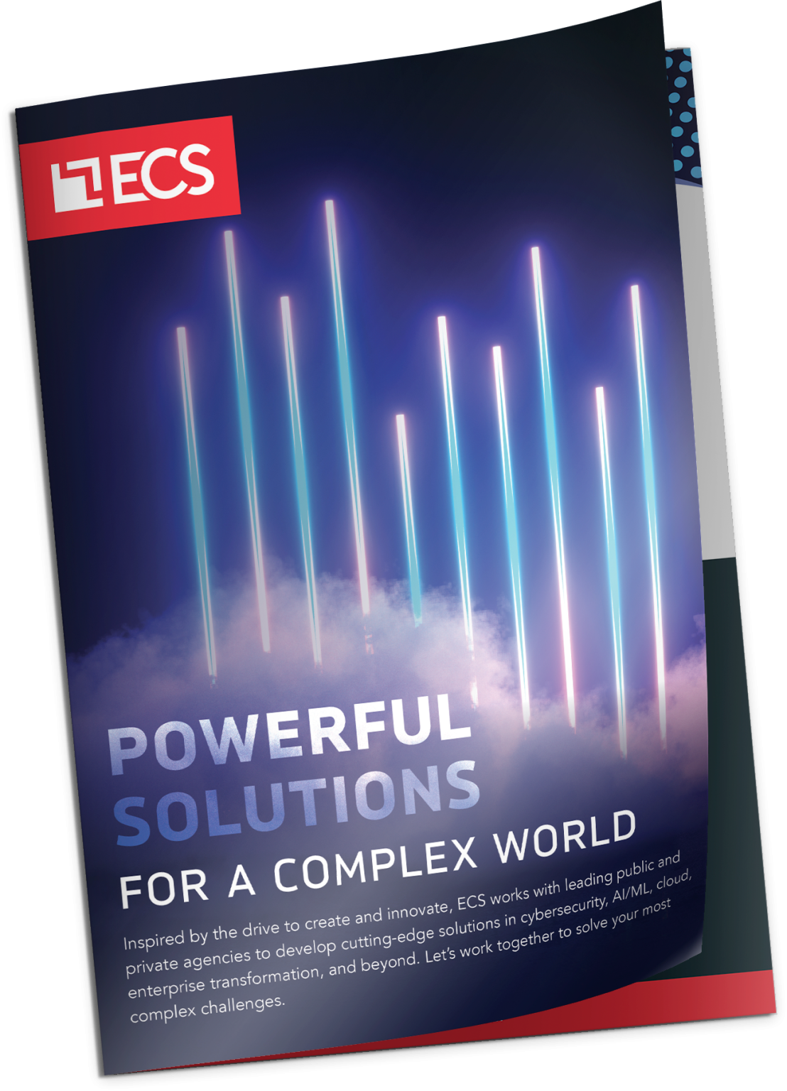 Our Solutions — ECS